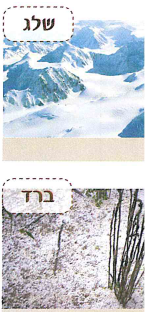 (בספר תרשים, היעזר במנחה)